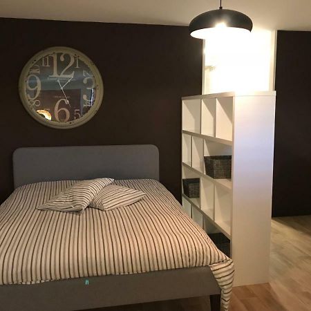 Large Studio Near Epfl And Lausanne City Center Ecublens  Eksteriør billede