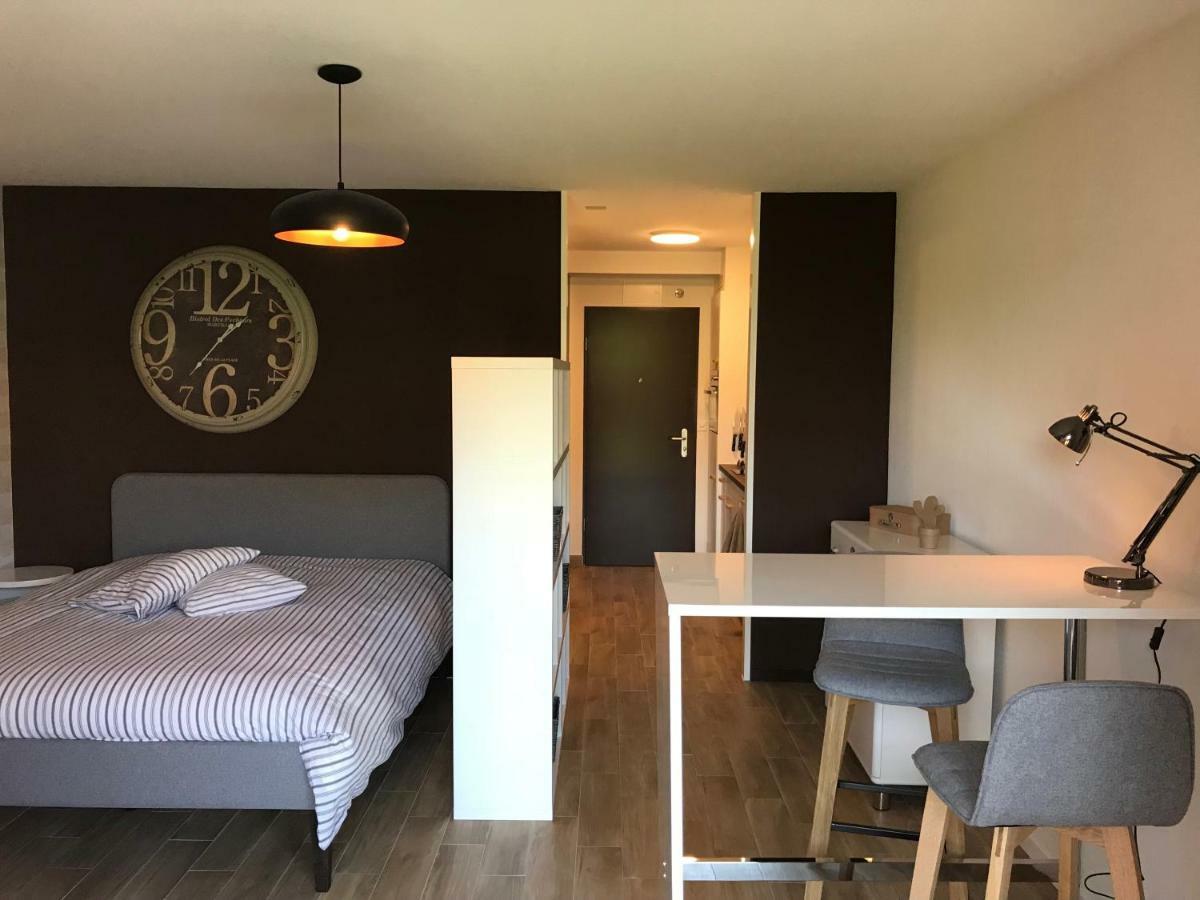 Large Studio Near Epfl And Lausanne City Center Ecublens  Eksteriør billede