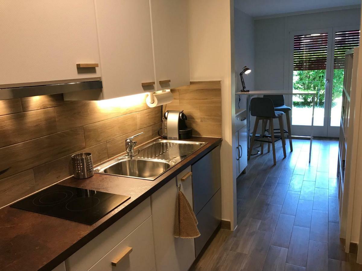 Large Studio Near Epfl And Lausanne City Center Ecublens  Eksteriør billede