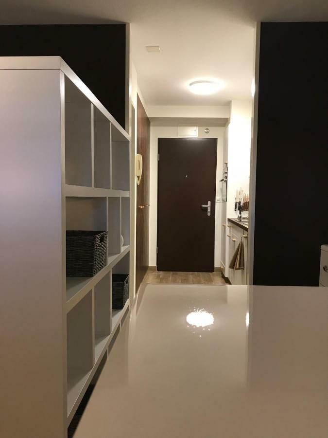 Large Studio Near Epfl And Lausanne City Center Ecublens  Eksteriør billede