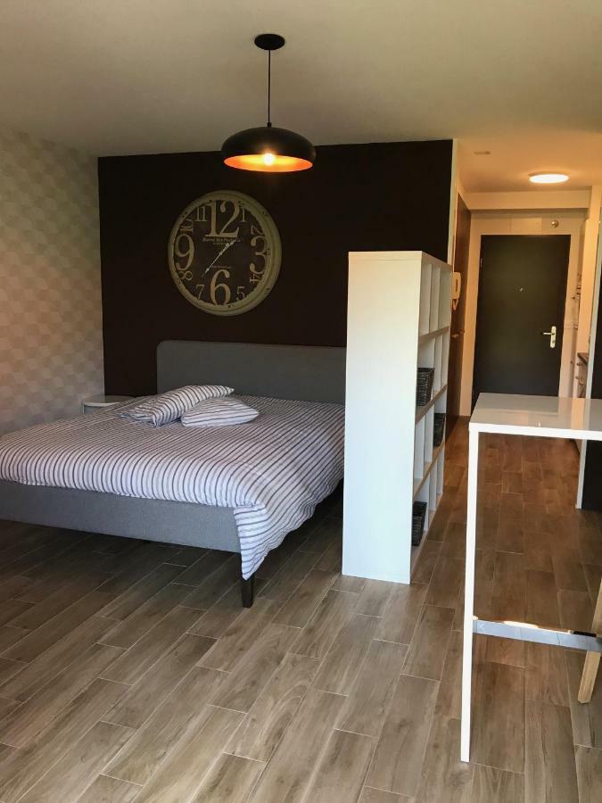 Large Studio Near Epfl And Lausanne City Center Ecublens  Eksteriør billede